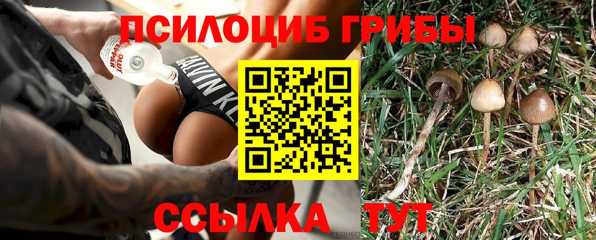Серов  ГАШИШ  Бошки Шишки  MDMA  Вход с VPN  Меф  