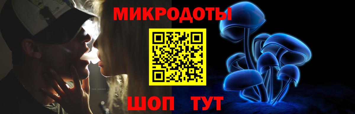Псилоцибиновые грибы Cubensis Серов