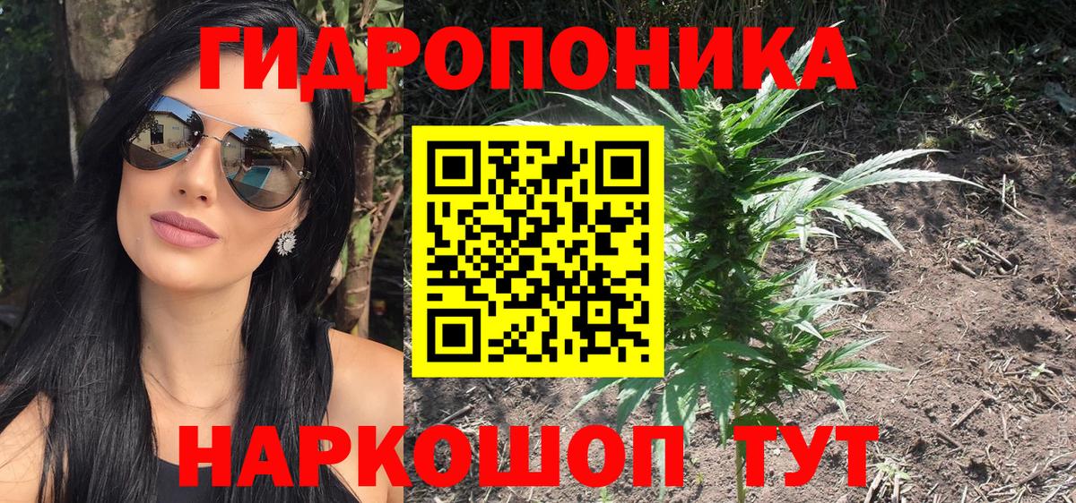 Серов  Бошки марихуана MAZAR  Вход с VPN  Шишки марихуана план 